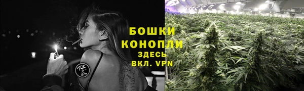 прущий лед Ладушкин