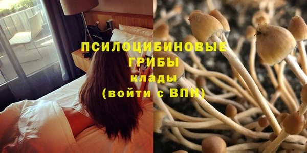 прущий лед Ладушкин