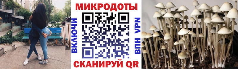 Галлюциногенные грибы прущие грибы  Купить  Мыски 