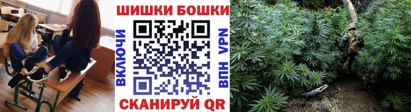 Бошки Шишки семена  Купить закладки  Мыски 
